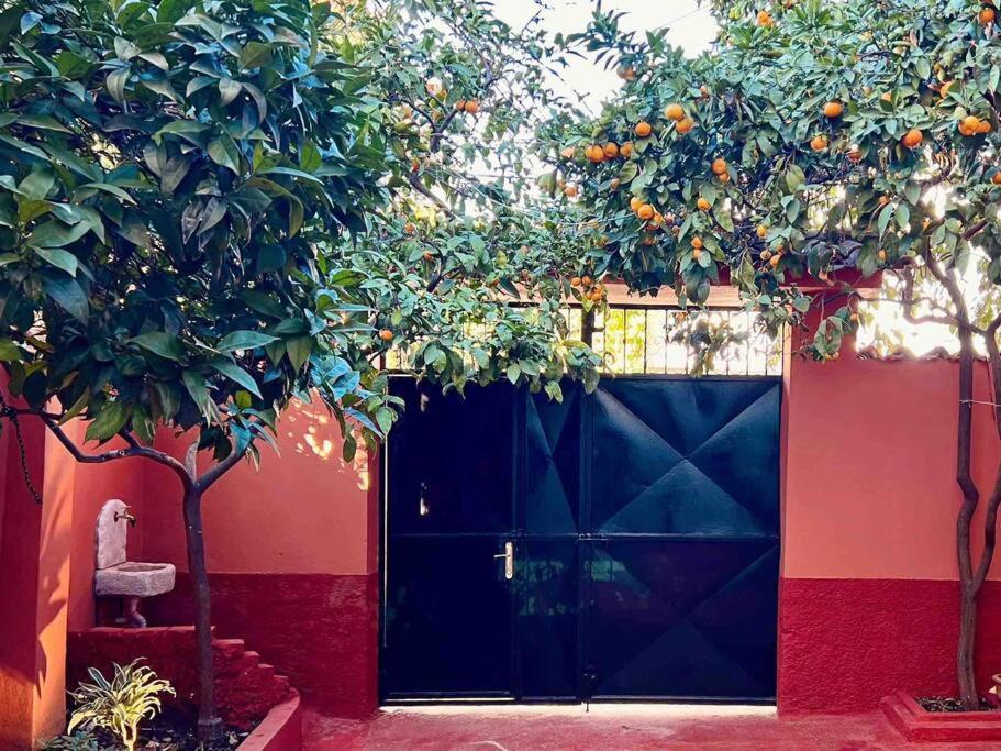 Zarlett House, Pazari Ri ,Villa With Garden,Parking Tirana Exterior photo