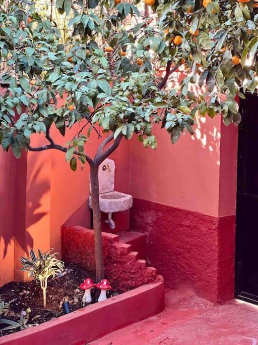Zarlett House, Pazari Ri ,Villa With Garden,Parking Tirana Exterior photo